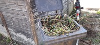 Pfostenbild