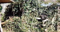 Pfostenbild