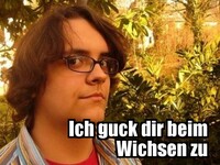 Pfostenbild