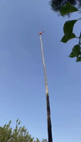 Pfostenbild