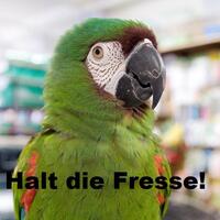 Pfostenbild