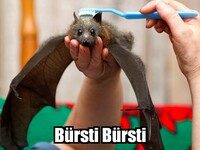 Pfostenbild