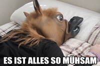 Pfostenbild