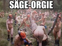 Pfostenbild