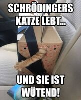 Pfostenbild