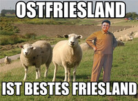 Pfostenbild