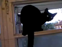 Pfostenbild