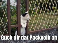 Pfostenbild