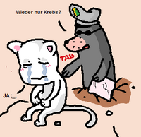 Pfostenbild